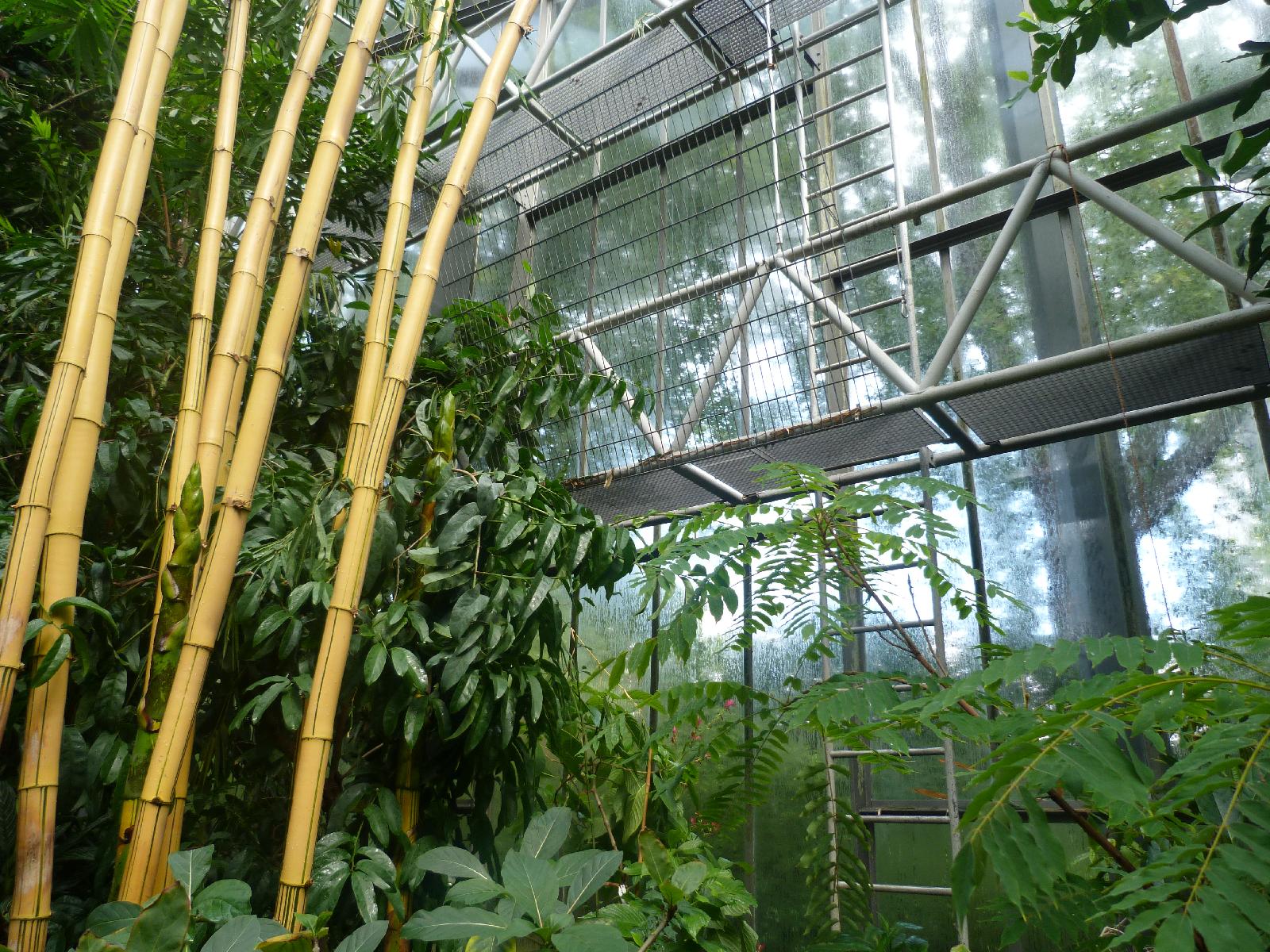 Inside the tall greenhouse