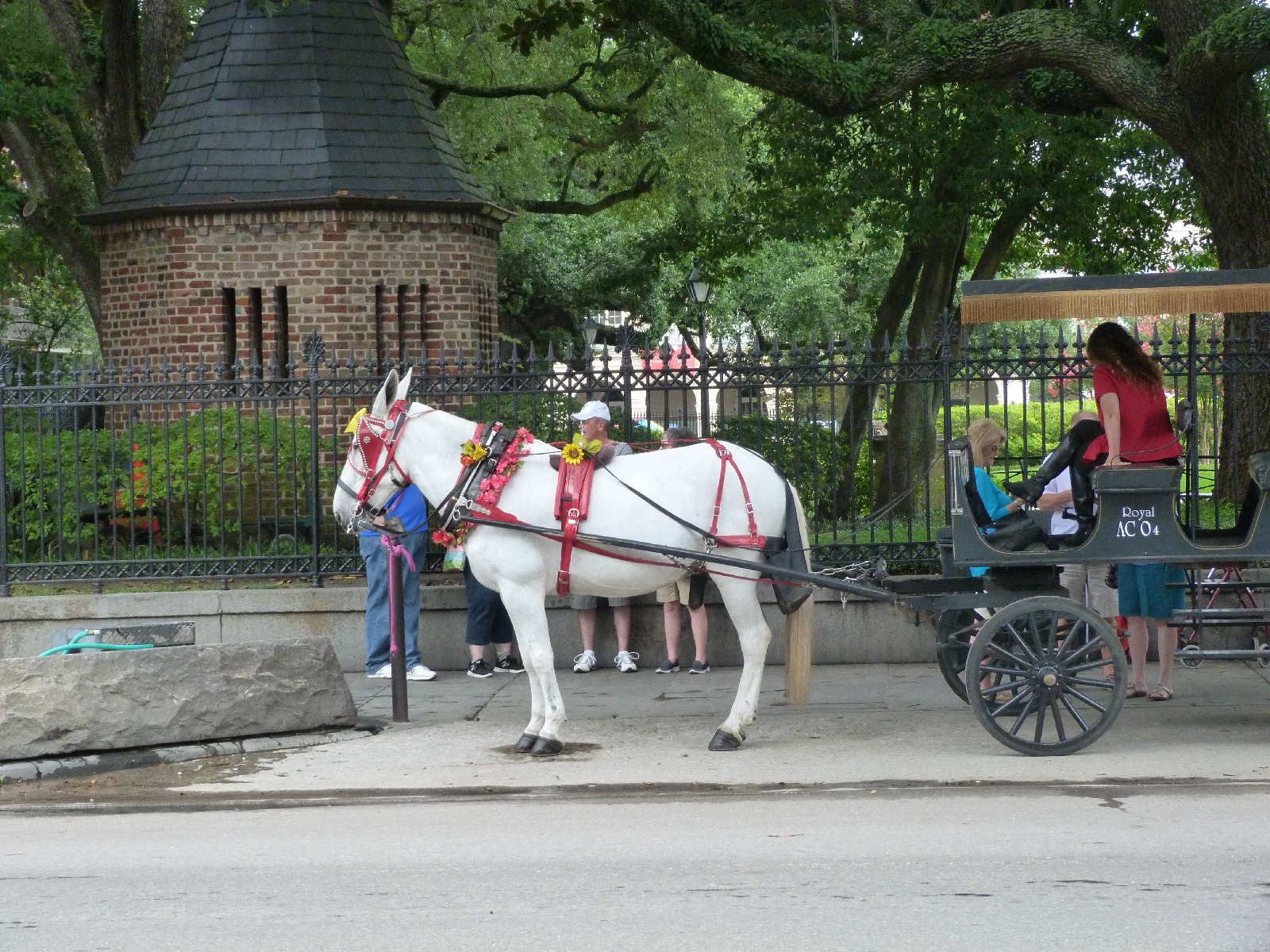 Looking down on the mule carriages