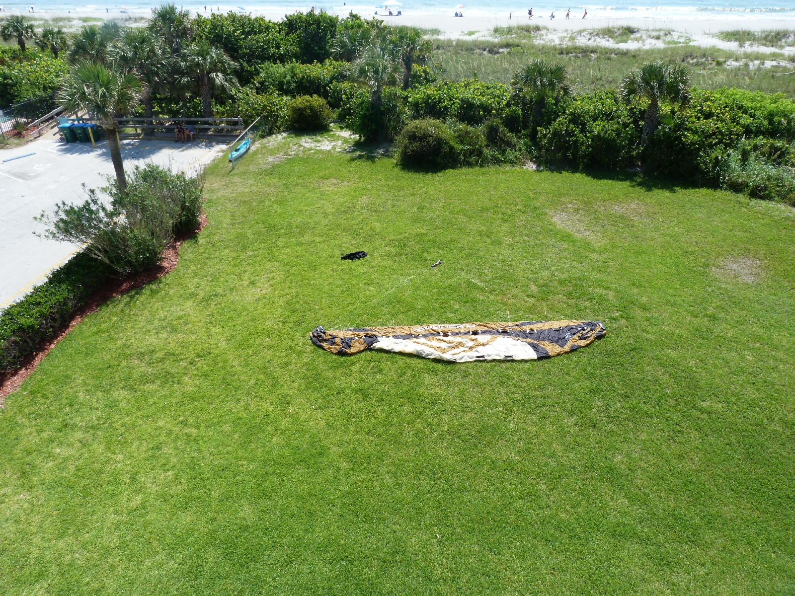 Kite, drying on the lawn