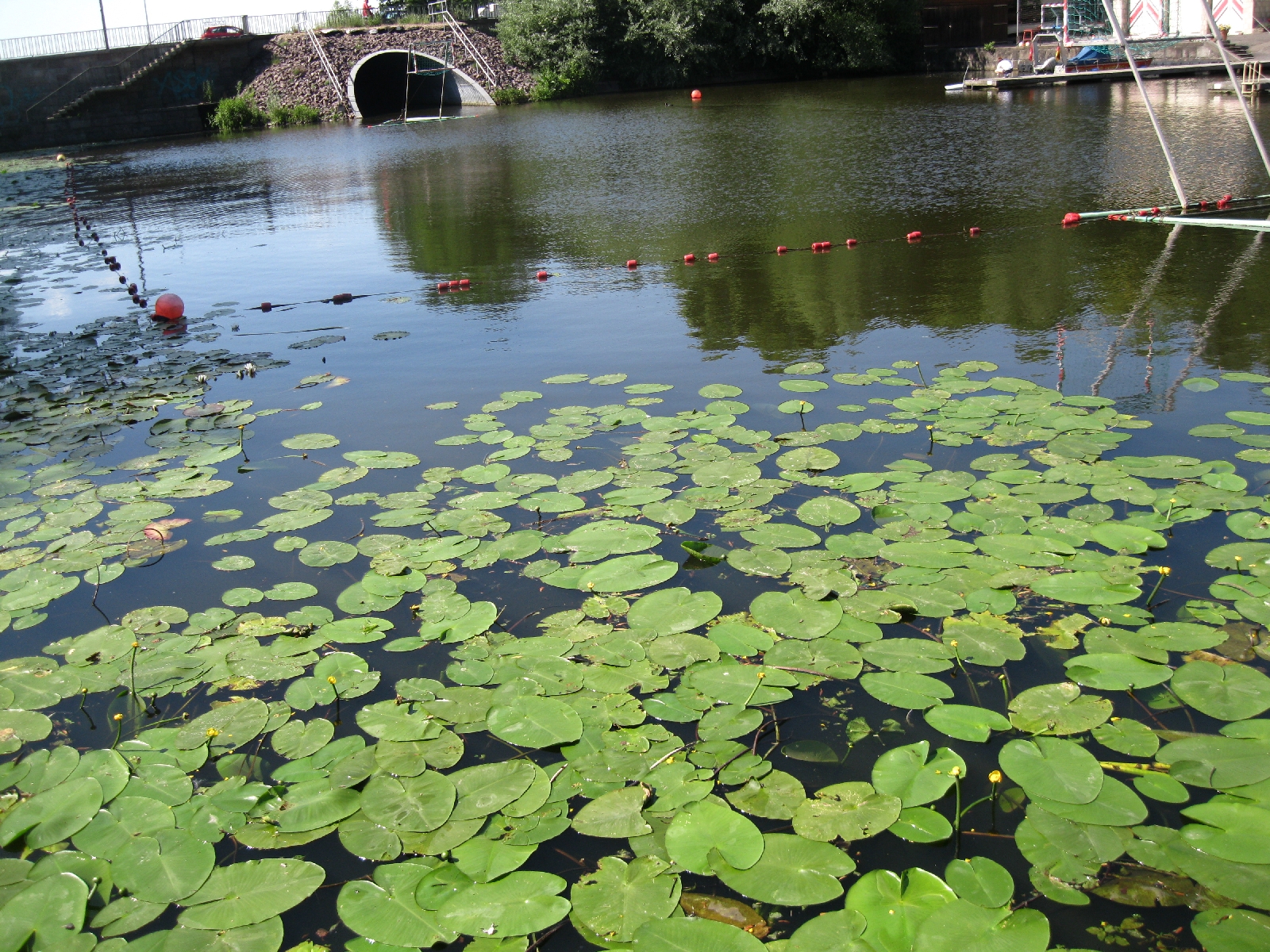 Canoe Pond