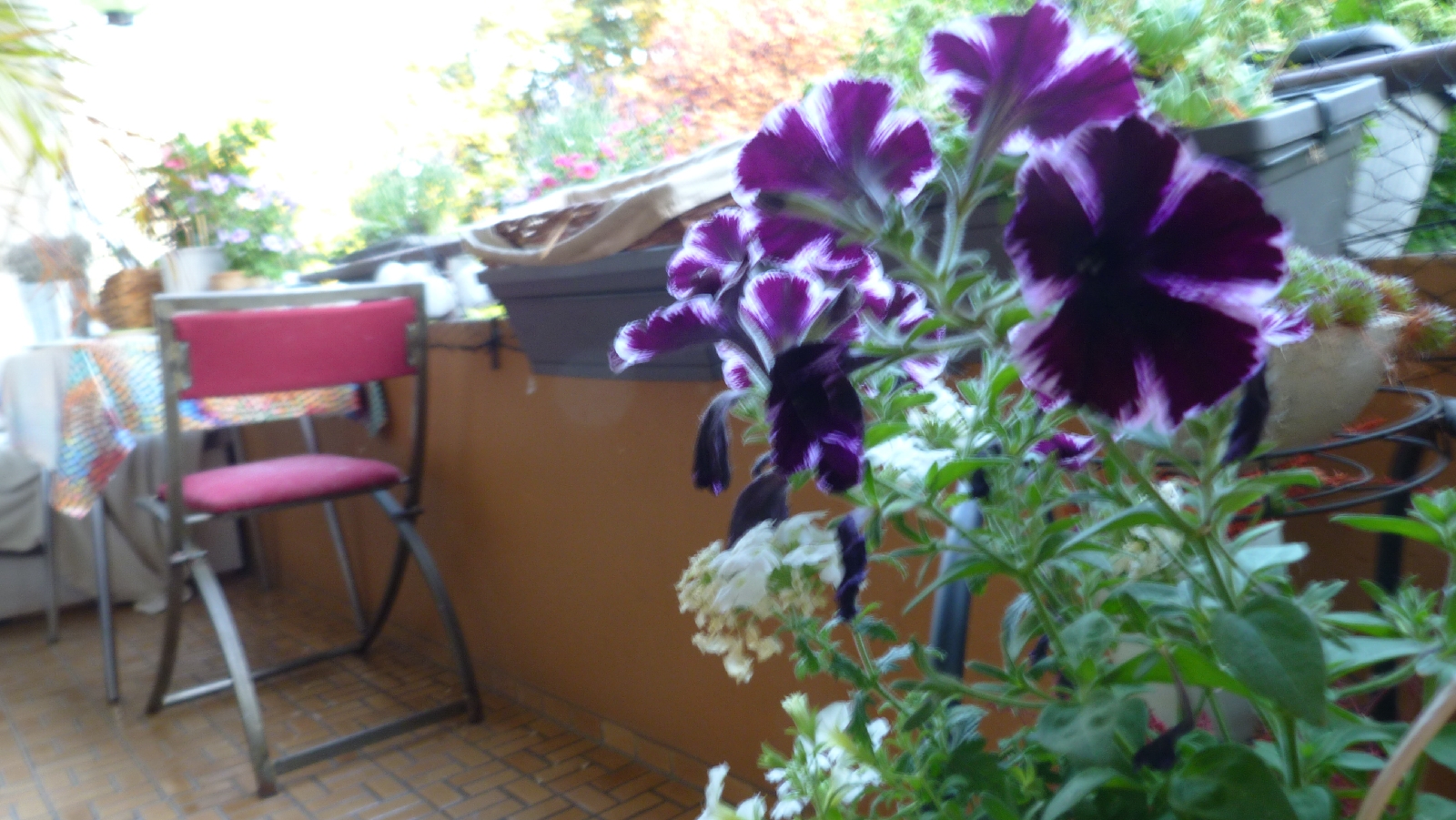 Porch Flowers